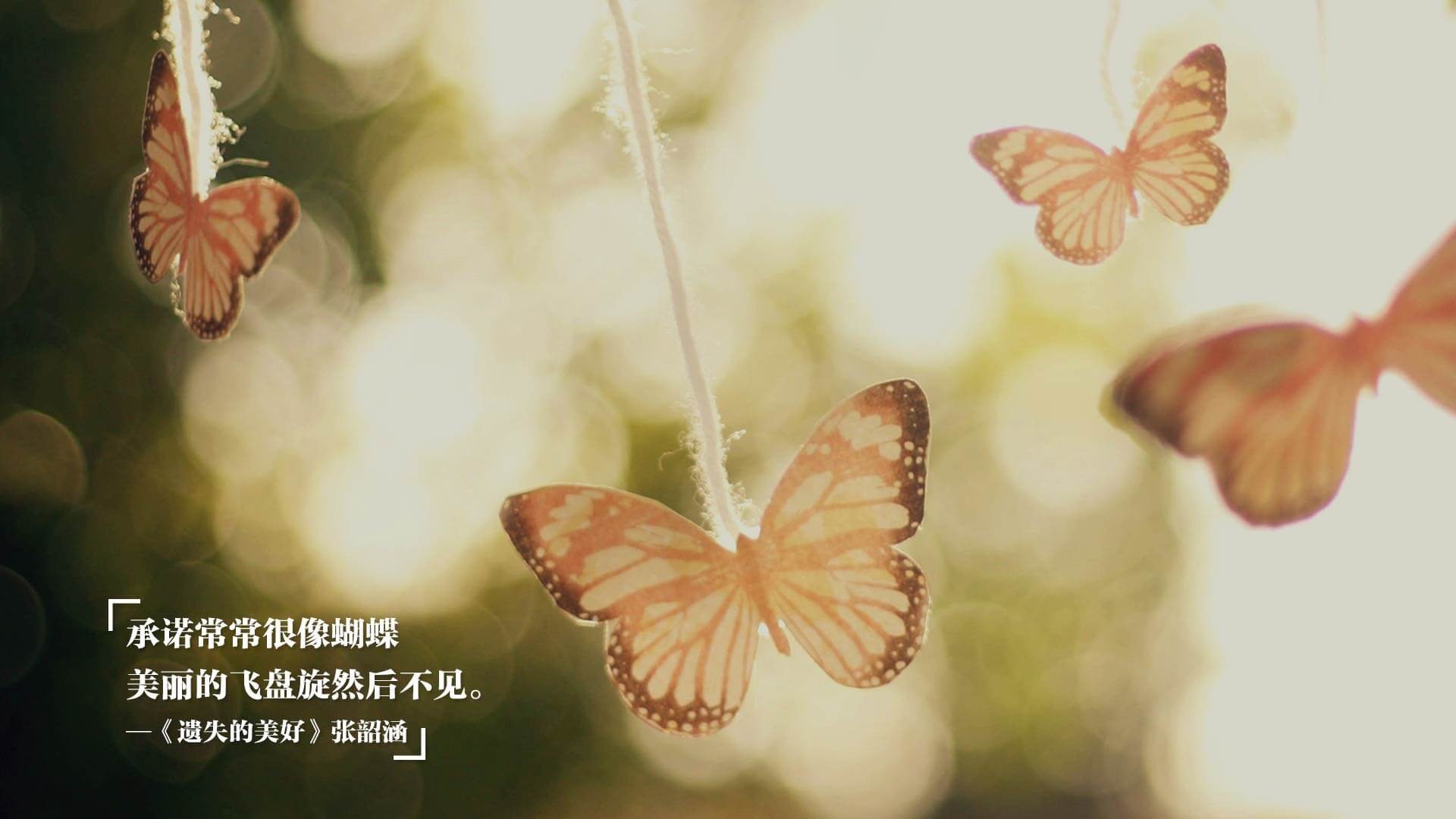 戴维斯杯，历史遗珠对决法网红土霸权—西西帕斯能否连接两个世界？