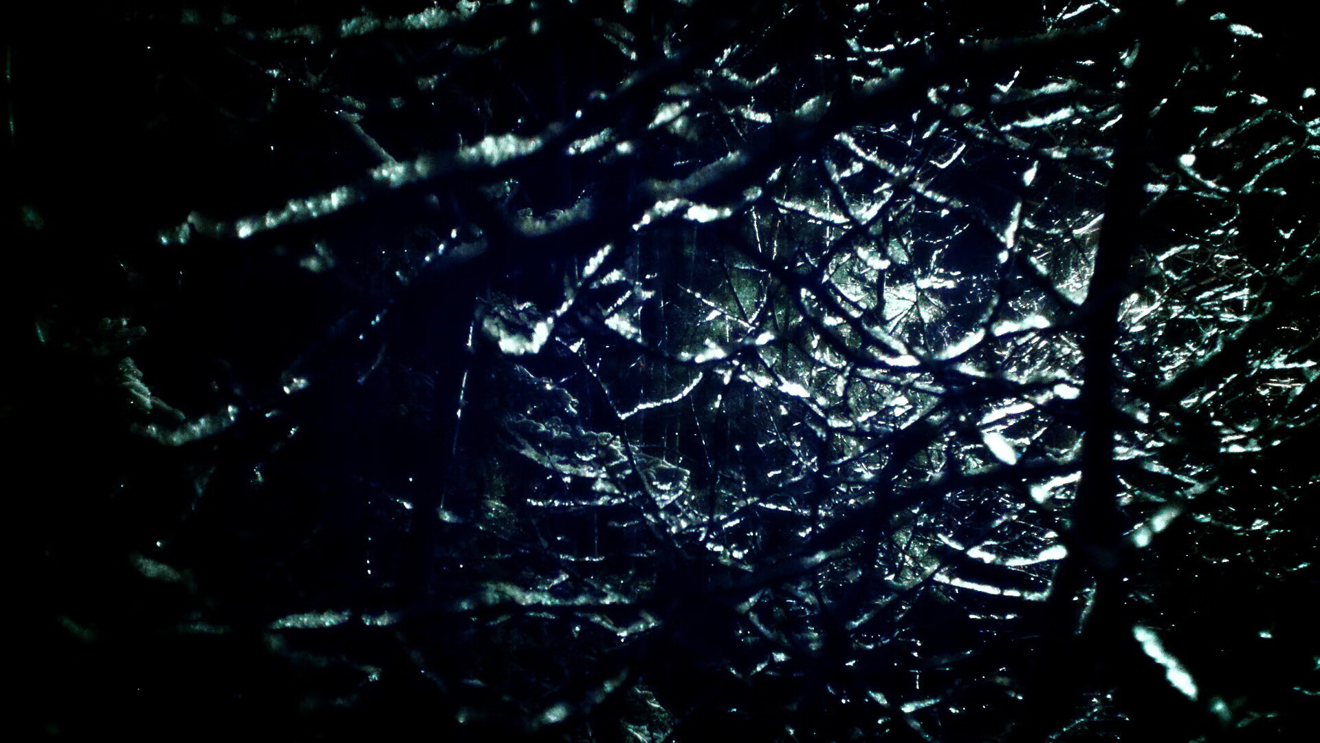 红环之上，绿火、银冰与诺里斯点燃的狂野赛道