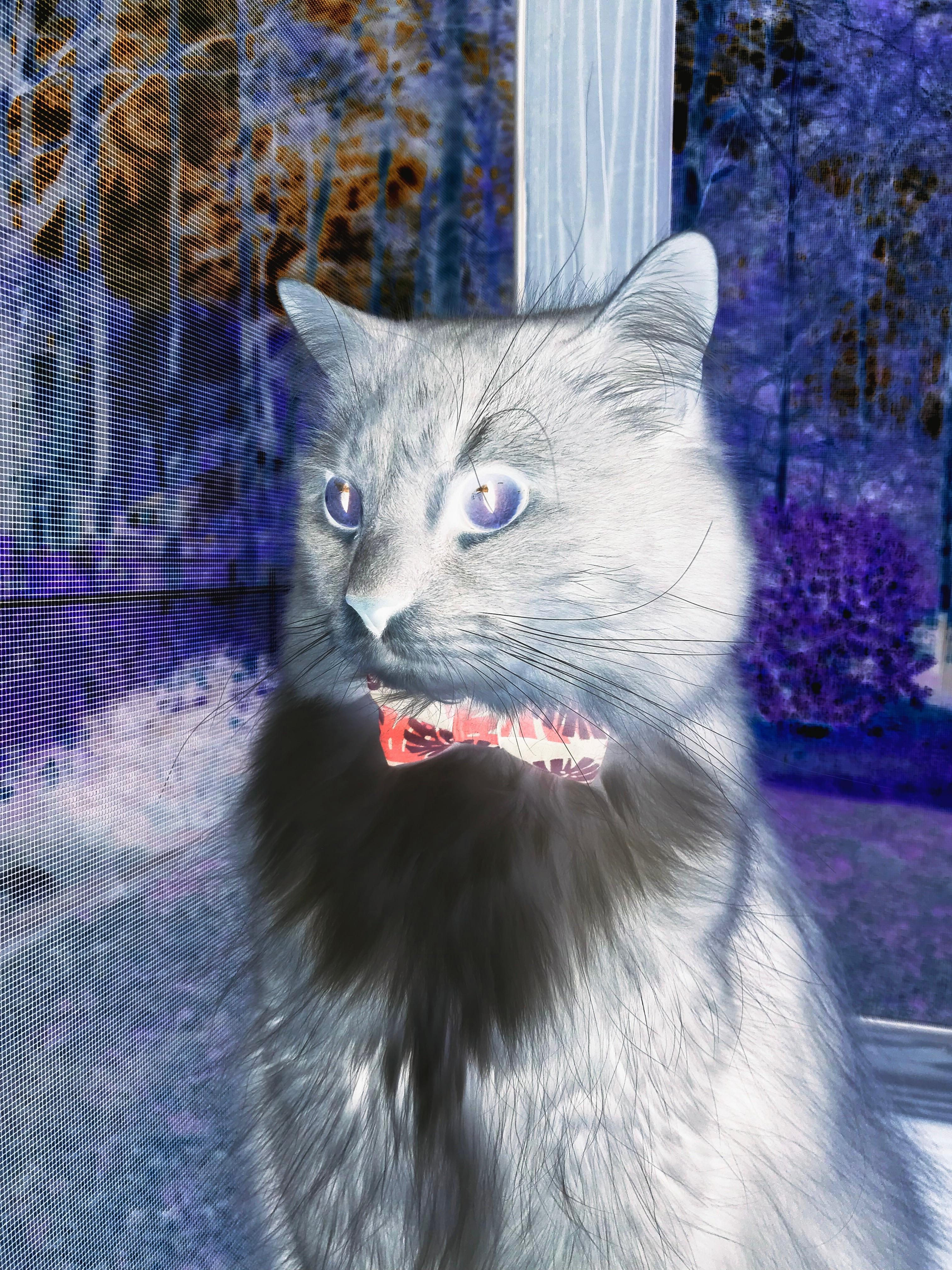 夜行突击与钢铁合围，维尼修斯的撕裂之舞，比利时铁壁如何淹没比利亚雷亚尔