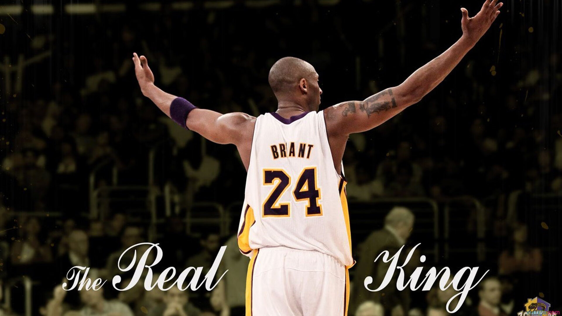 北纬48°的对决，当生死战跨越时空