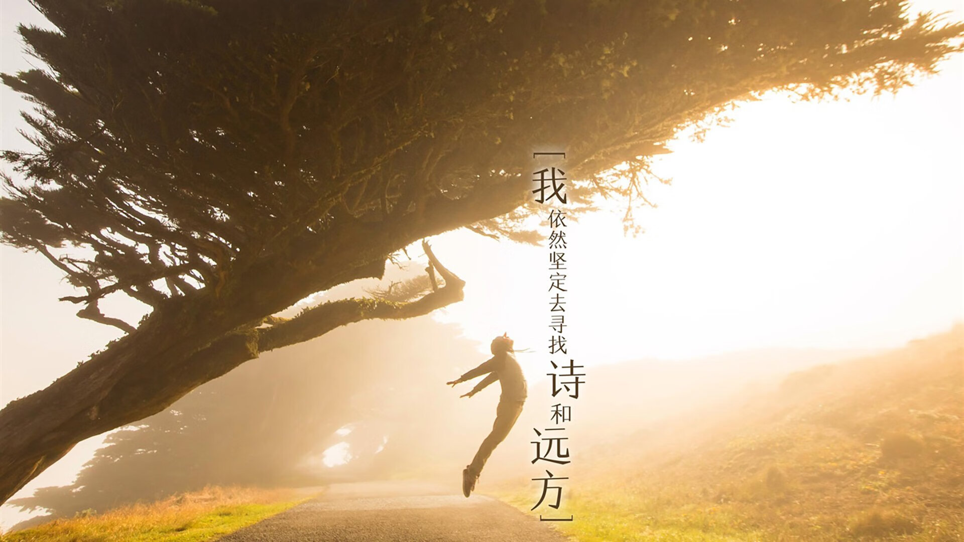 决赛之夜，压力之巅，英格拉姆的淬变