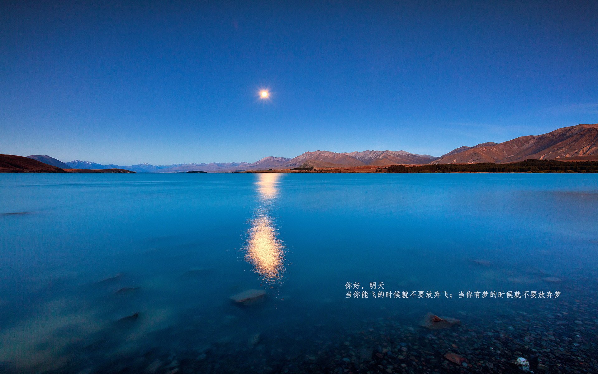 西亚卡姆刷新纪录，湖人队与山西队上演跨界对决