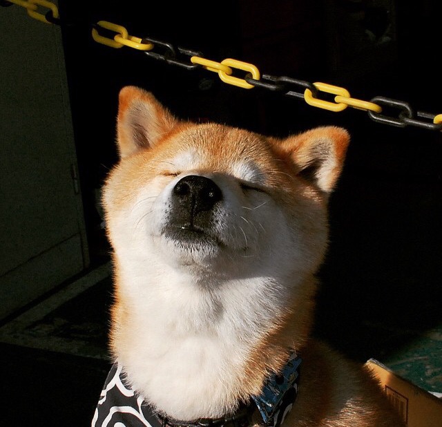 爱游戏官网-哈利伯顿精神降临英超争冠夜，大场面先生的足球化身