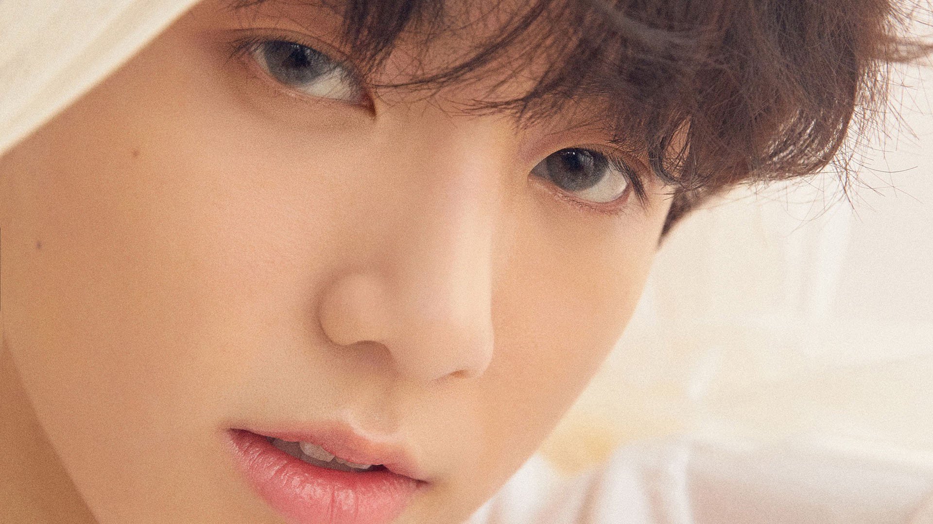 莫兰特独领风骚，黄蜂奇袭公牛演绎闪电战