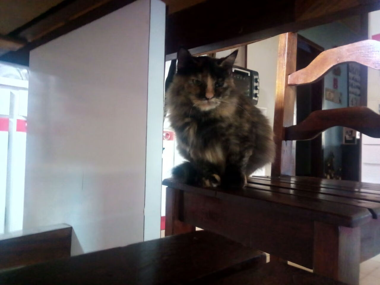 绝杀时刻，拉什福德终场救主，威尔士逆转摩纳哥演绎足球奇迹