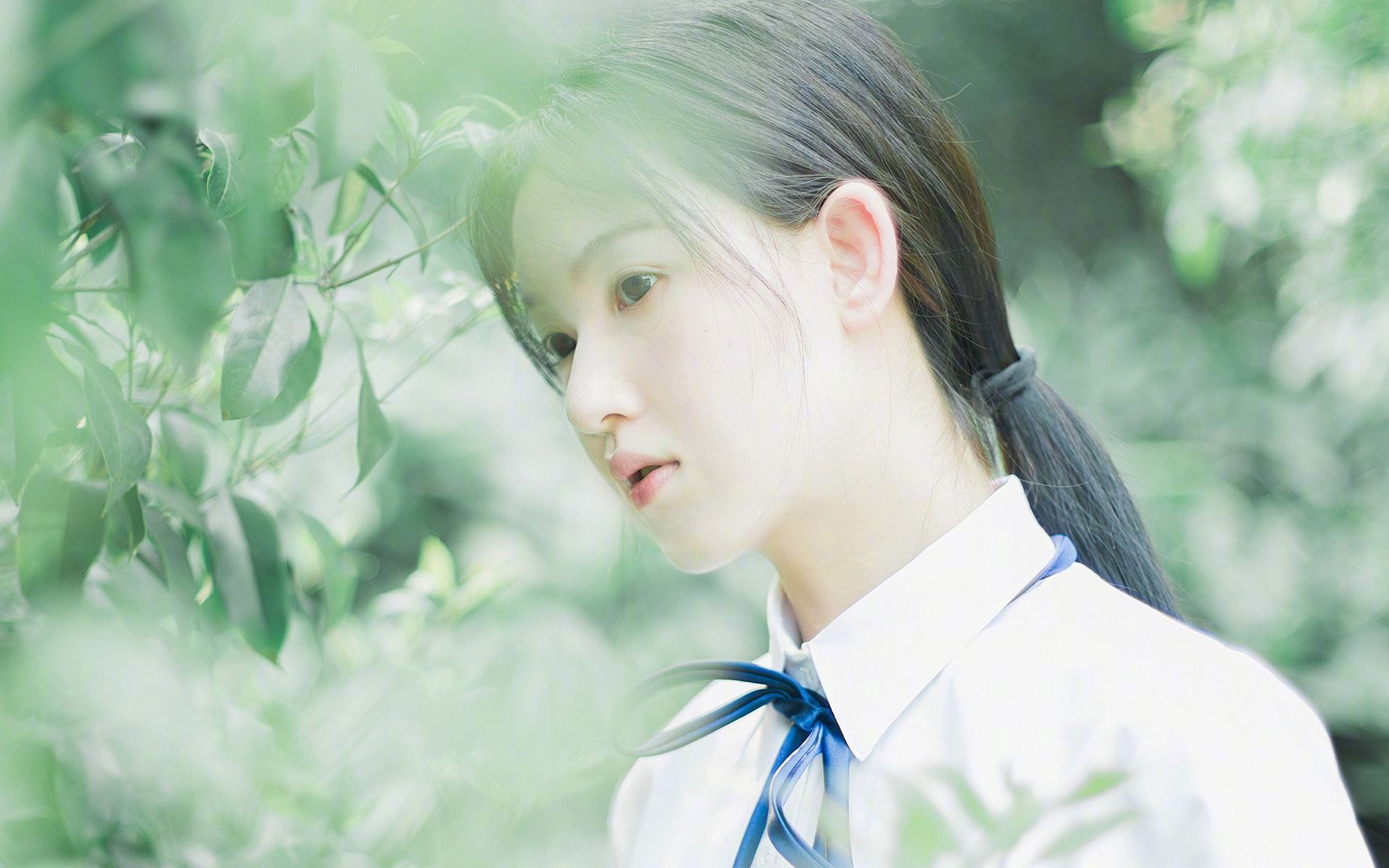 篮球智慧，库里的艺术与浙江队的协奏曲