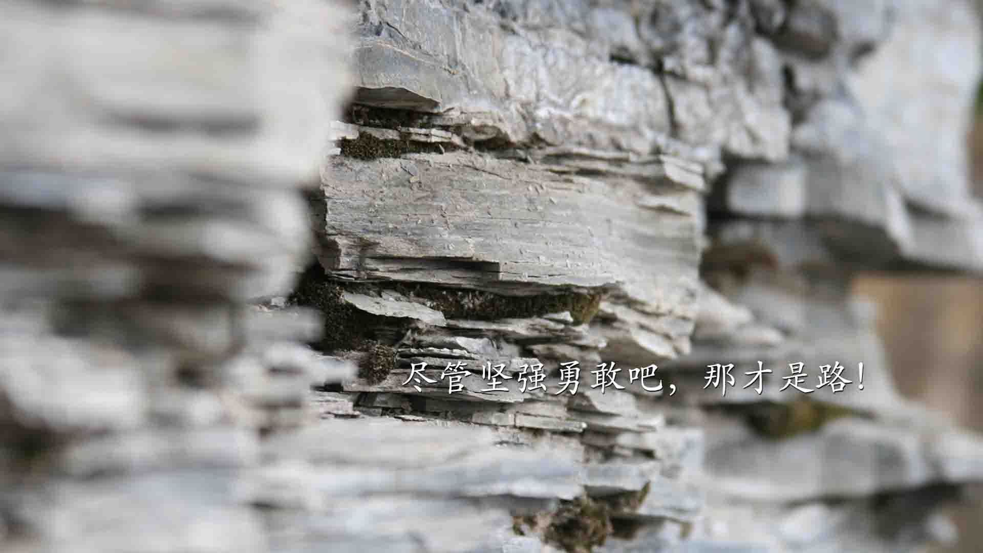 新王撕裂夜晚，旧主加时重生，尼克斯用坚韧为拉梅洛的无解写下注脚