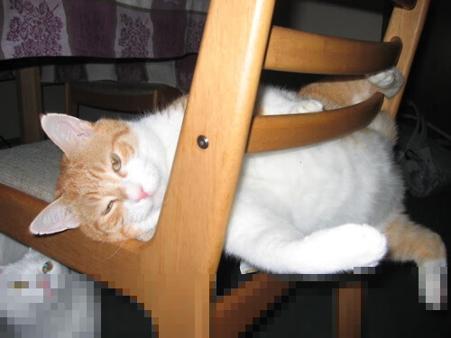 跨界之王法比尼奥，橄榄球场末节12分绝杀，亲手冰封美国篮球神话