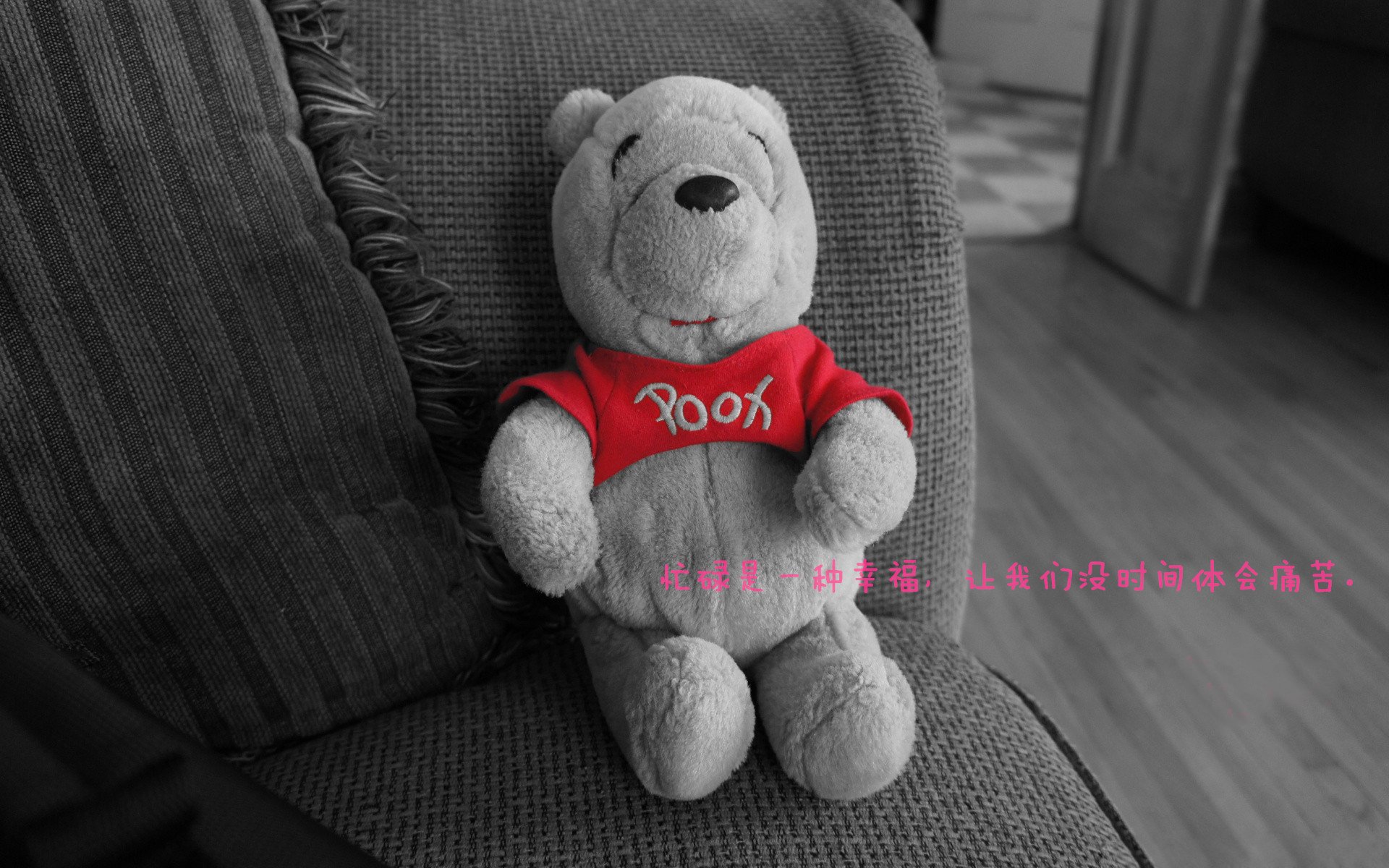 上海队巧控节奏智取热火，布克化身关键先生铸就唯一经典