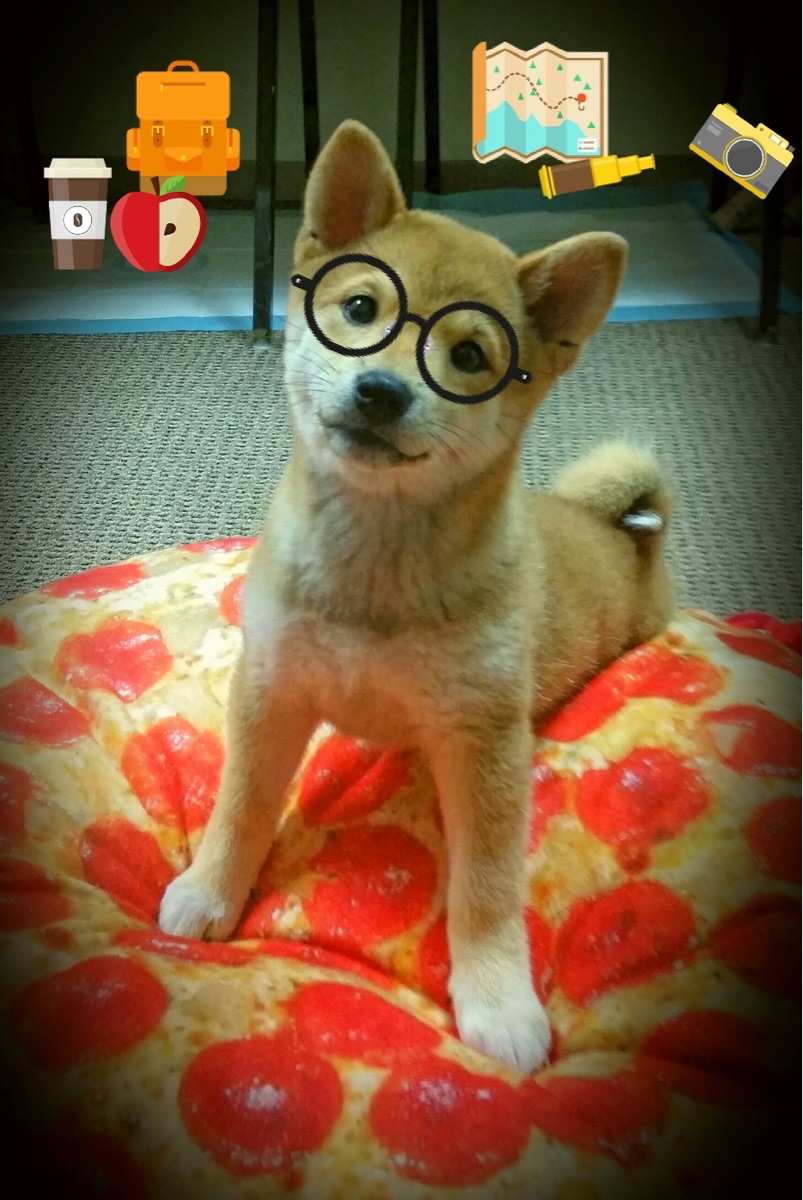 哈兰德租借突尼斯，对阵曼联上演高能输出秀