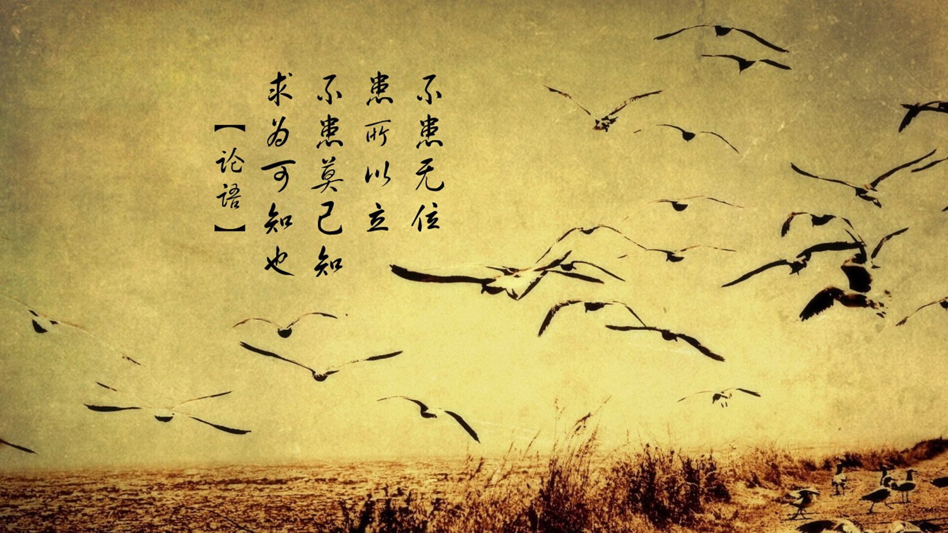（已扩展）