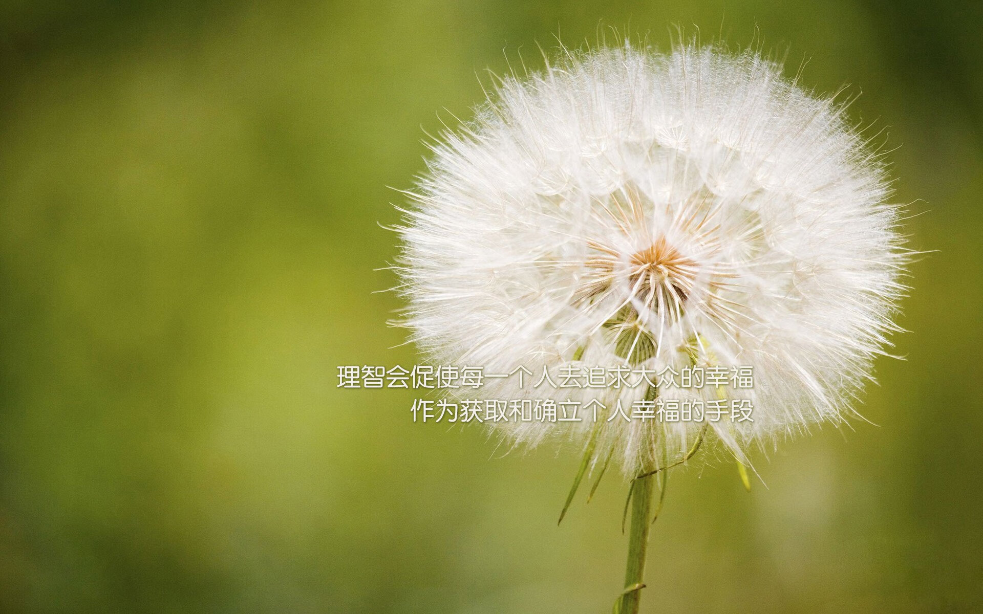 爱游戏入口-控球为王，2026世界杯E组焦点战，阿诺德主导比赛，葡萄牙完胜波兰